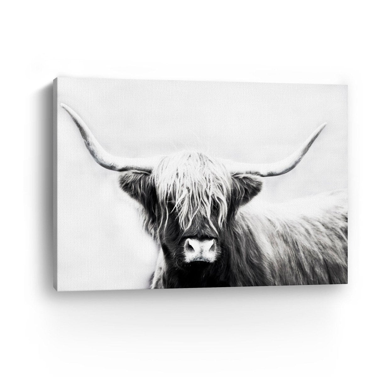 Monochrome Longhorn Canvas Wall Art - Lumaprints - Gallery Canvas by Modest Hut