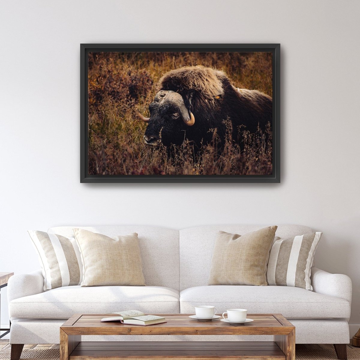 Musk Ox in the Arctic Canvas Wall Art - Lumaprints - Gallery Canvas by Modest Hut