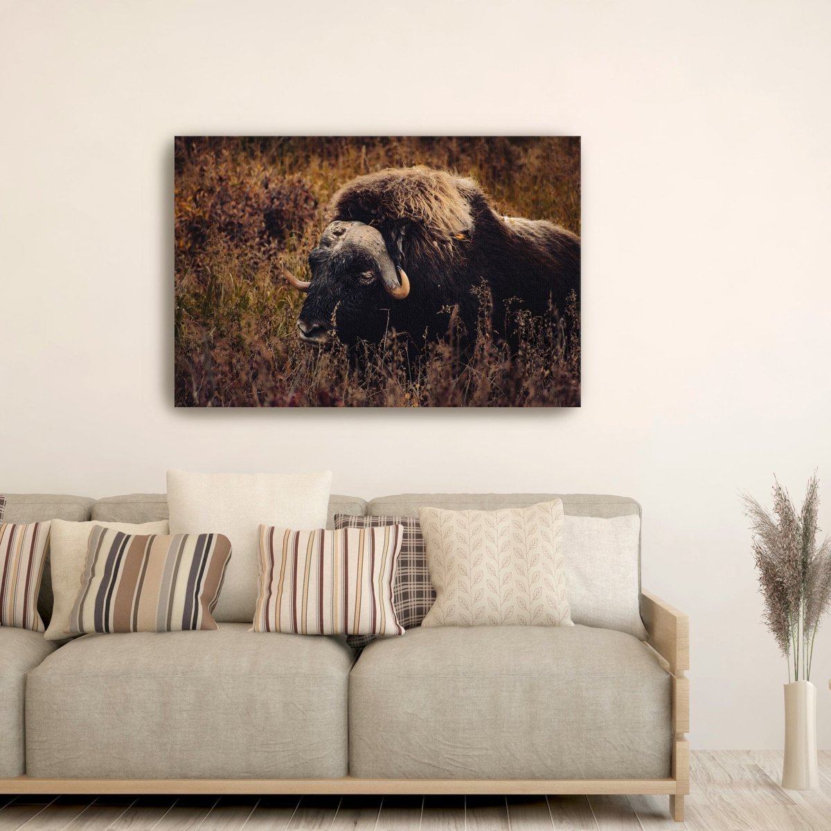 Musk Ox in the Arctic Canvas Wall Art - Lumaprints - Gallery Canvas by Modest Hut