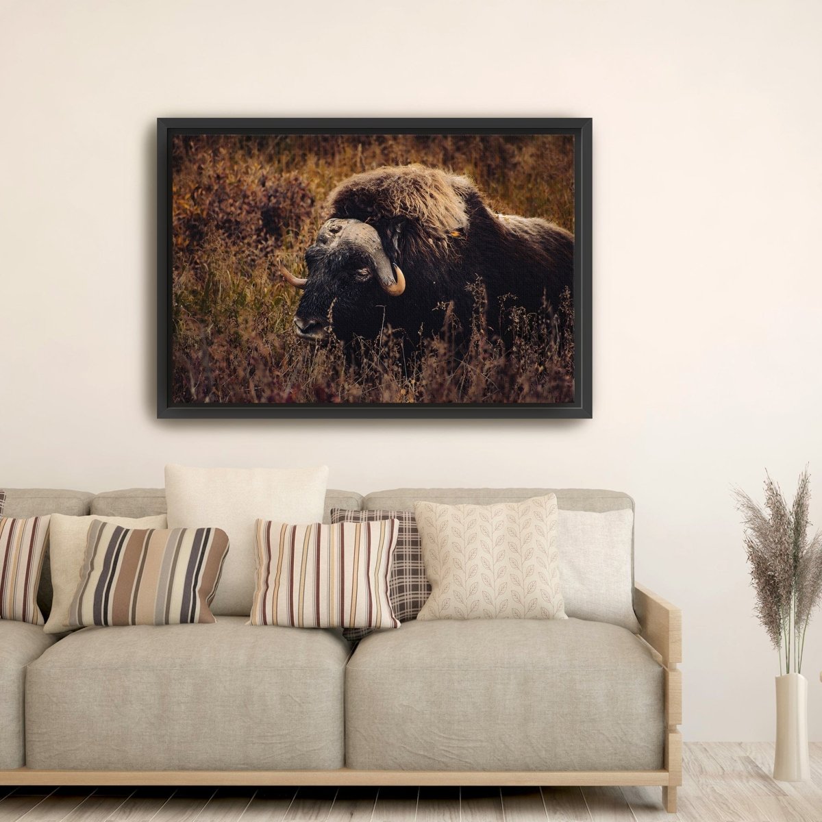 Musk Ox in the Arctic Canvas Wall Art - Lumaprints - Gallery Canvas by Modest Hut