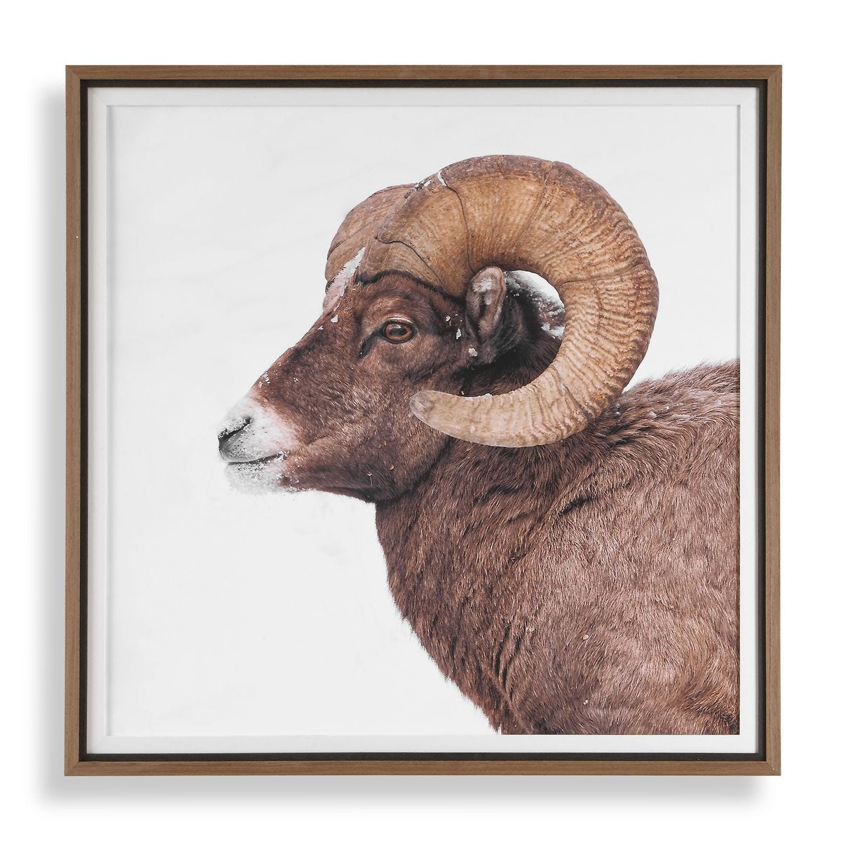 Alternate view of the Big Horn Walnut Framed Print by Uttermost