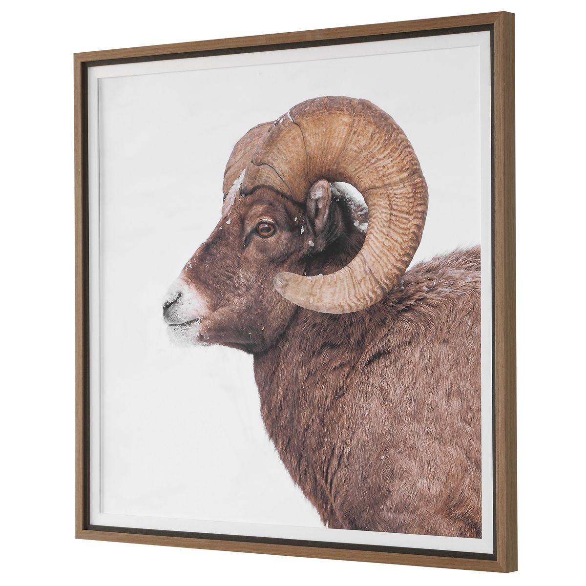 Detail view of the Big Horn Walnut Framed Print finish and construction