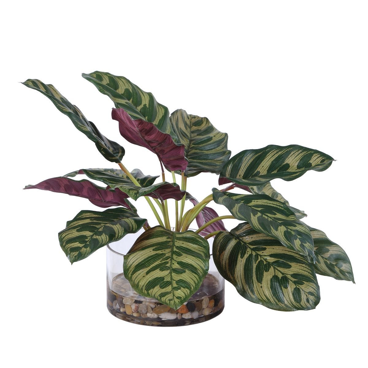 Peacock Plant Glass Accent by Uttermost