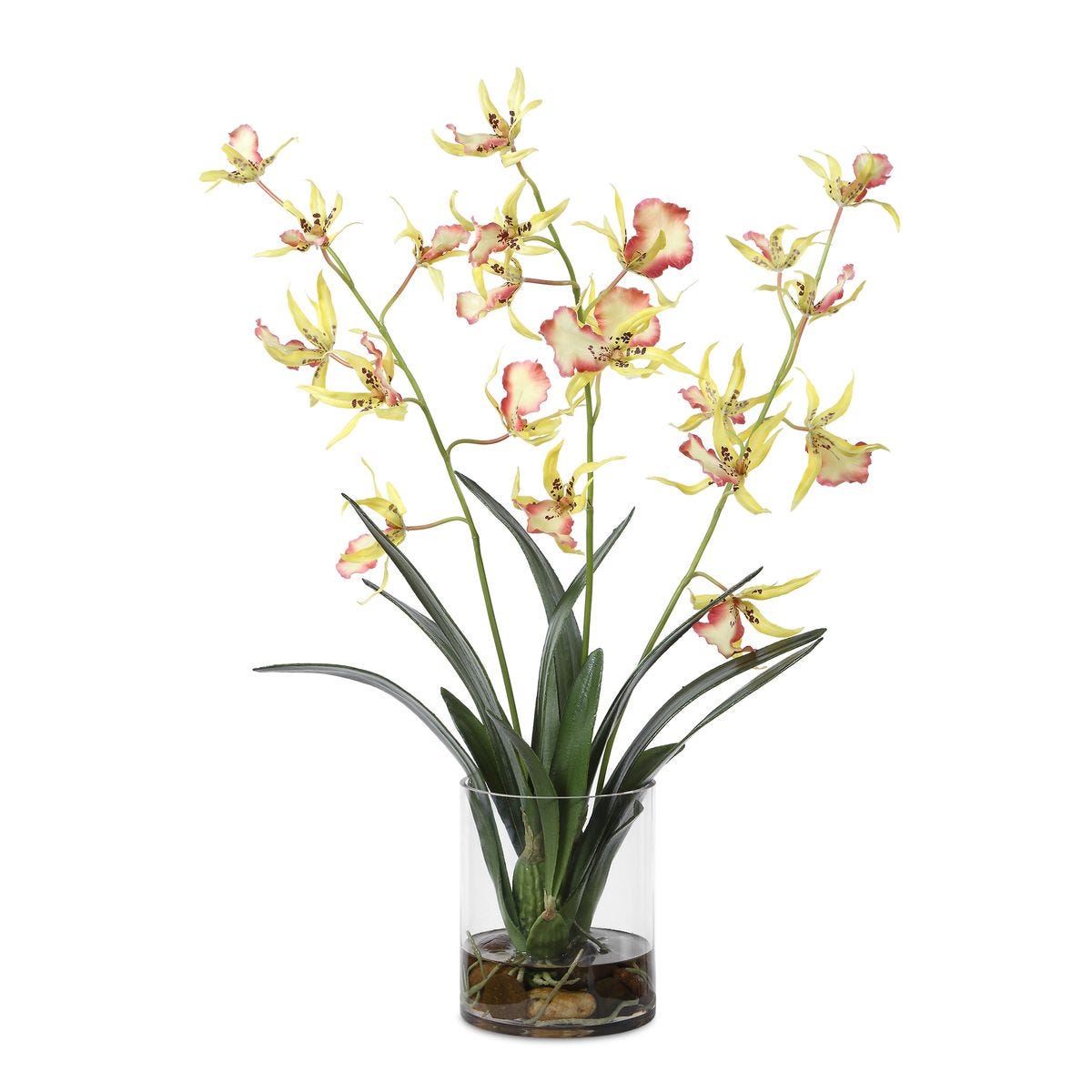 Spider Orchid Coral Yellow Arrangement by Uttermost