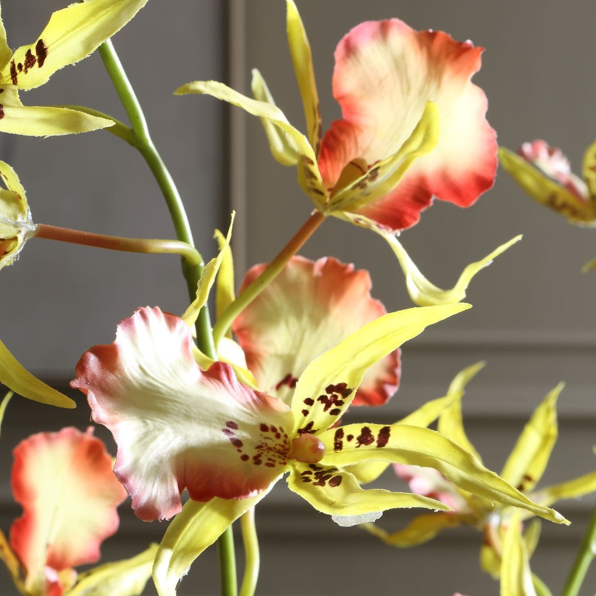 Close-up of the botanical base detail on the Spider Orchid Coral Yellow Arrangement