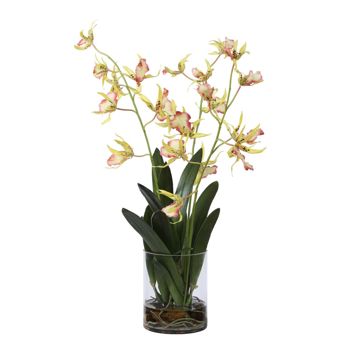 Detail view of the container detail on the Spider Orchid Coral Yellow Arrangement