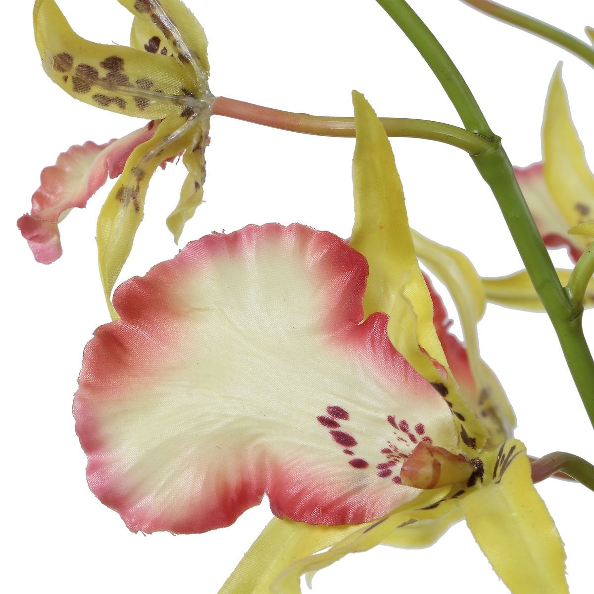 Detail view of the flower stem detail on the Spider Orchid Coral Yellow Arrangement