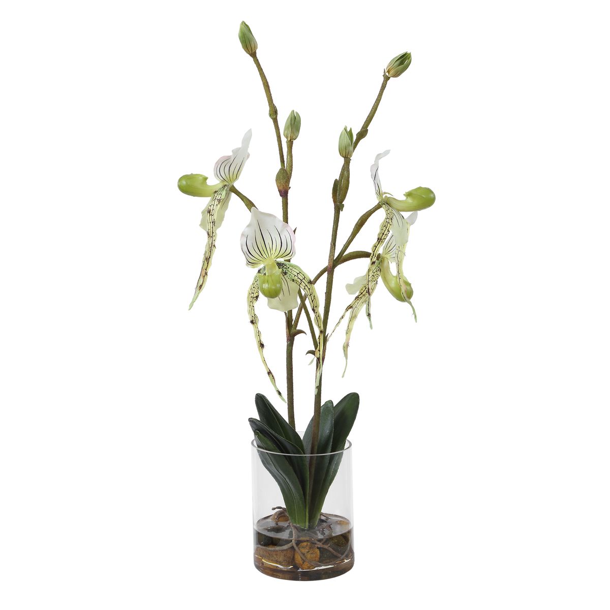Lady Slipper White Orchid Arrangement by Uttermost