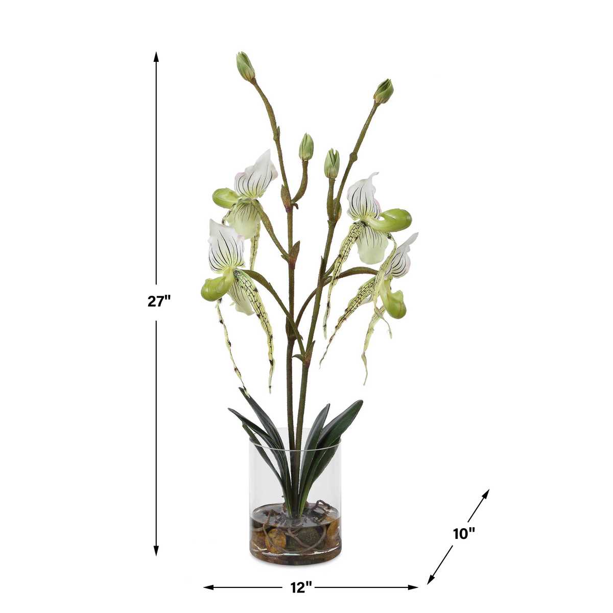 Dimension guide for the Lady Slipper White Orchid Arrangement
