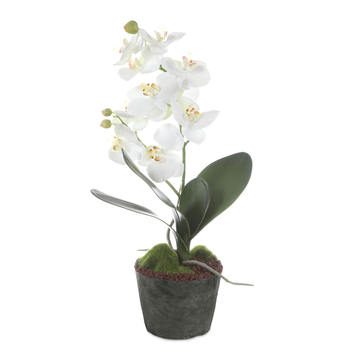Alternate angle of the Laris White Orchid Drop-In by Uttermost