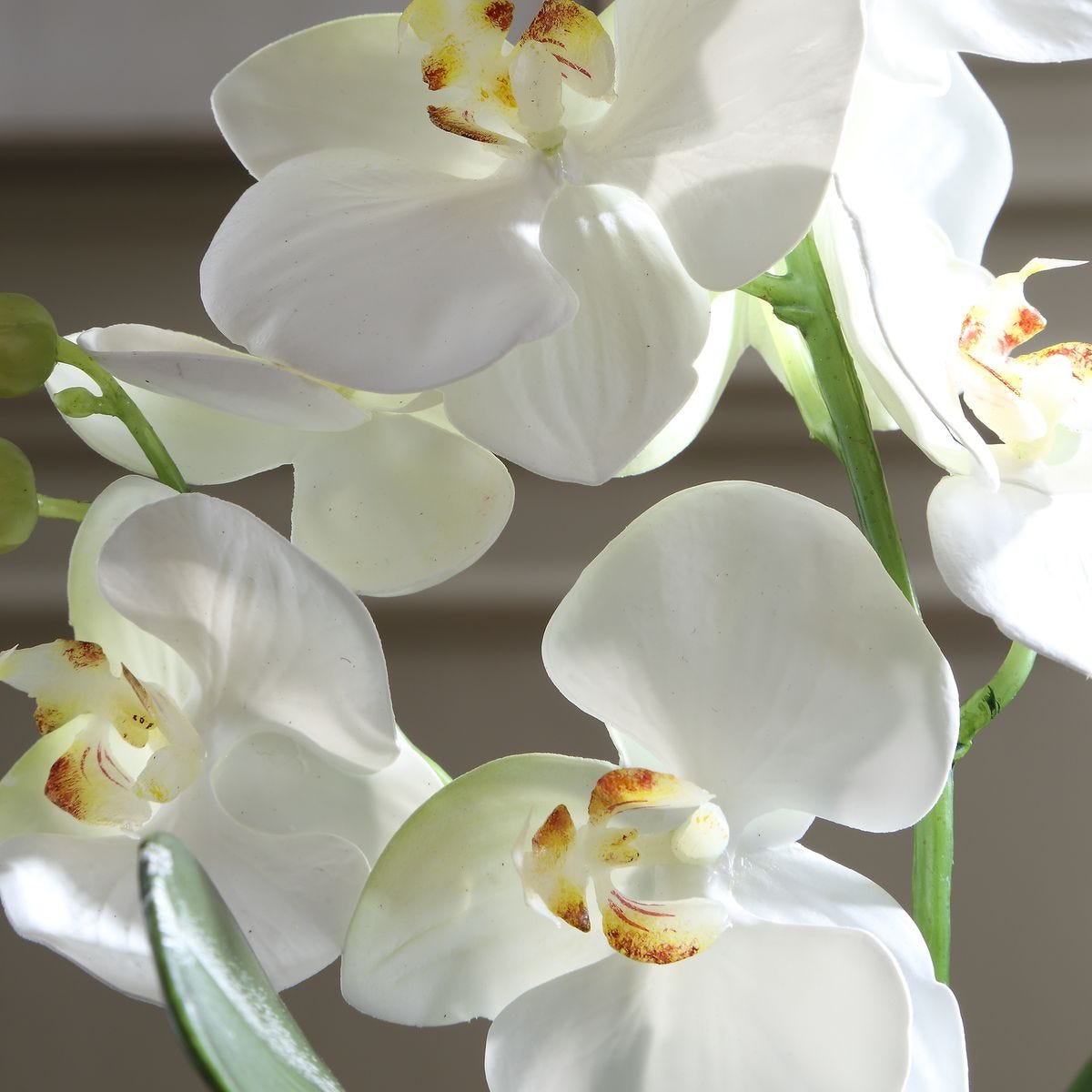 Close-up of the botanical base detail on the Laris White Orchid Drop-In