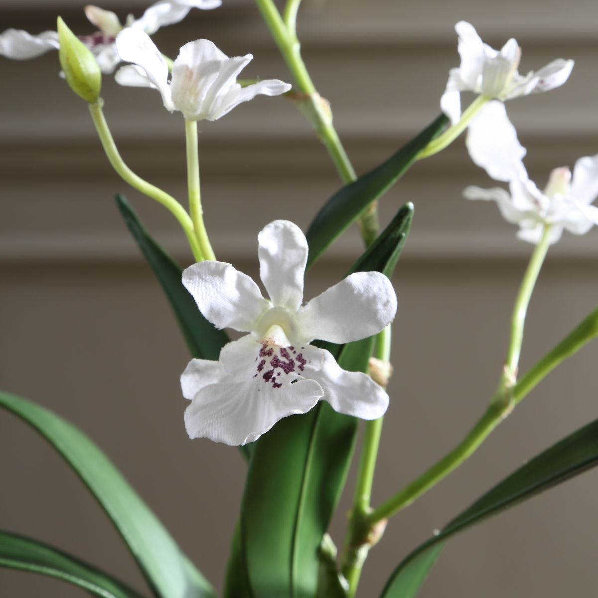 Close-up of the botanical base detail on the Clovis White Orchid Drop-In