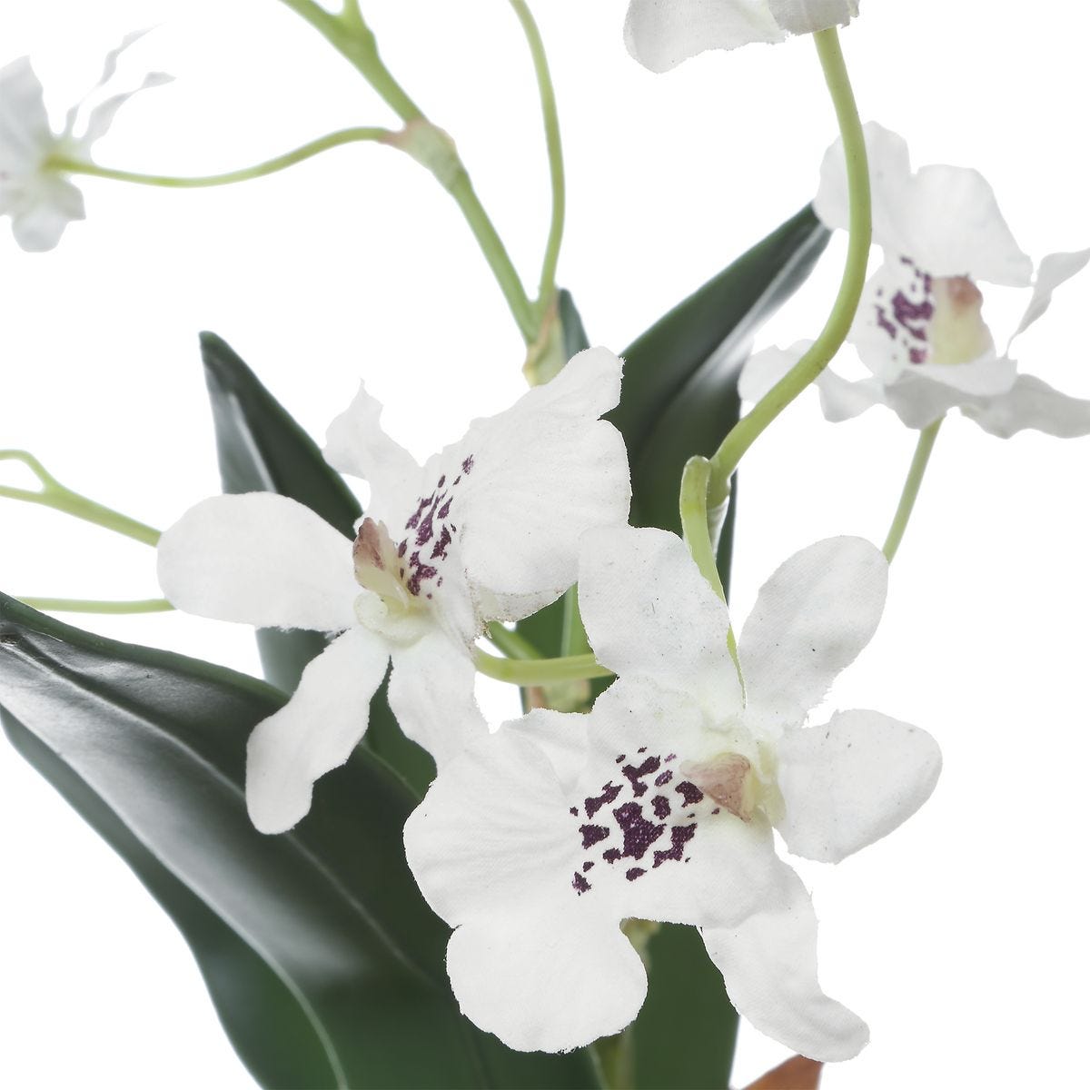 Detail view of the container detail on the Clovis White Orchid Drop-In