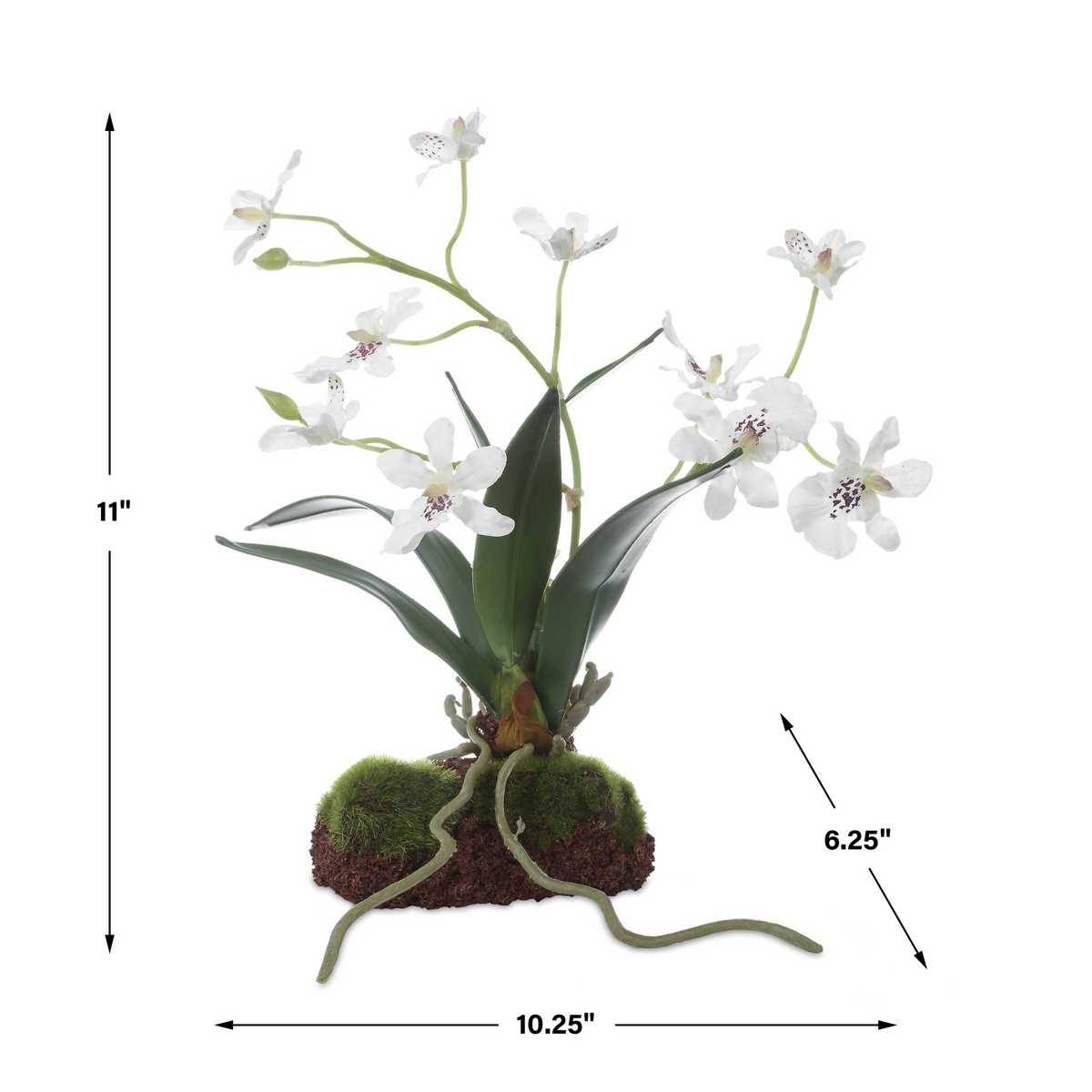 Dimension guide for the Clovis White Orchid Drop-In