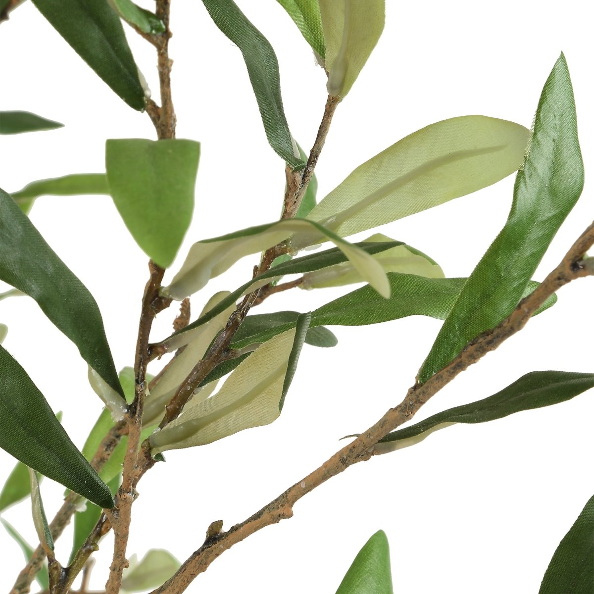 Abundance Potted Olive Tree - Uttermost - Planter by Modest Hut