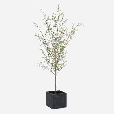 Abundance Potted Olive Tree - Uttermost - Planter by Modest Hut