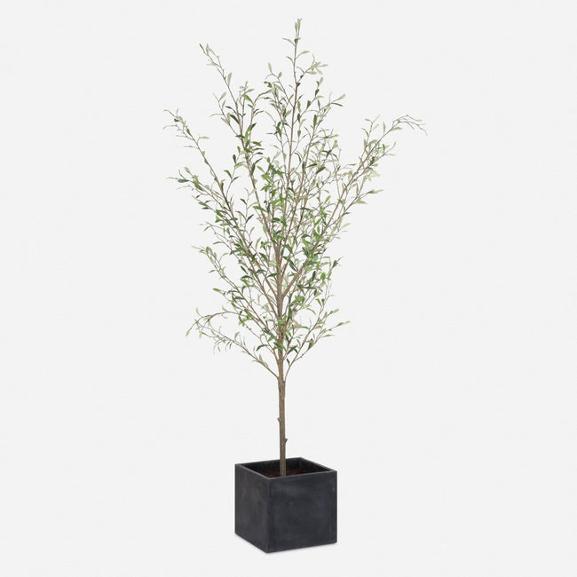 Abundance Potted Olive Tree - Uttermost - Planter by Modest Hut