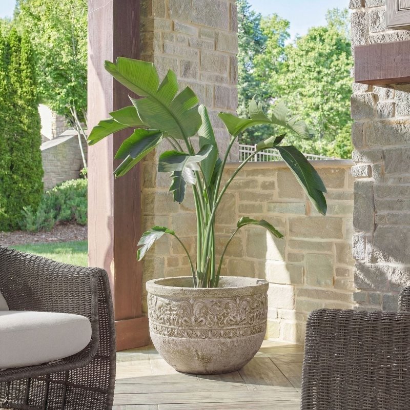 Regalia Indoor-Outdoor Planter styled in an outdoor setting