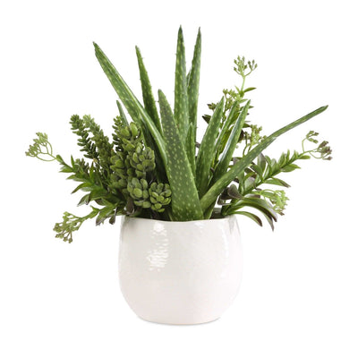 Sundown Succulent Accent Planter - Uttermost - Planter by Modest Hut