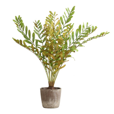 Zamia Palm Accent In Planter - Uttermost - Planter by Modest Hut