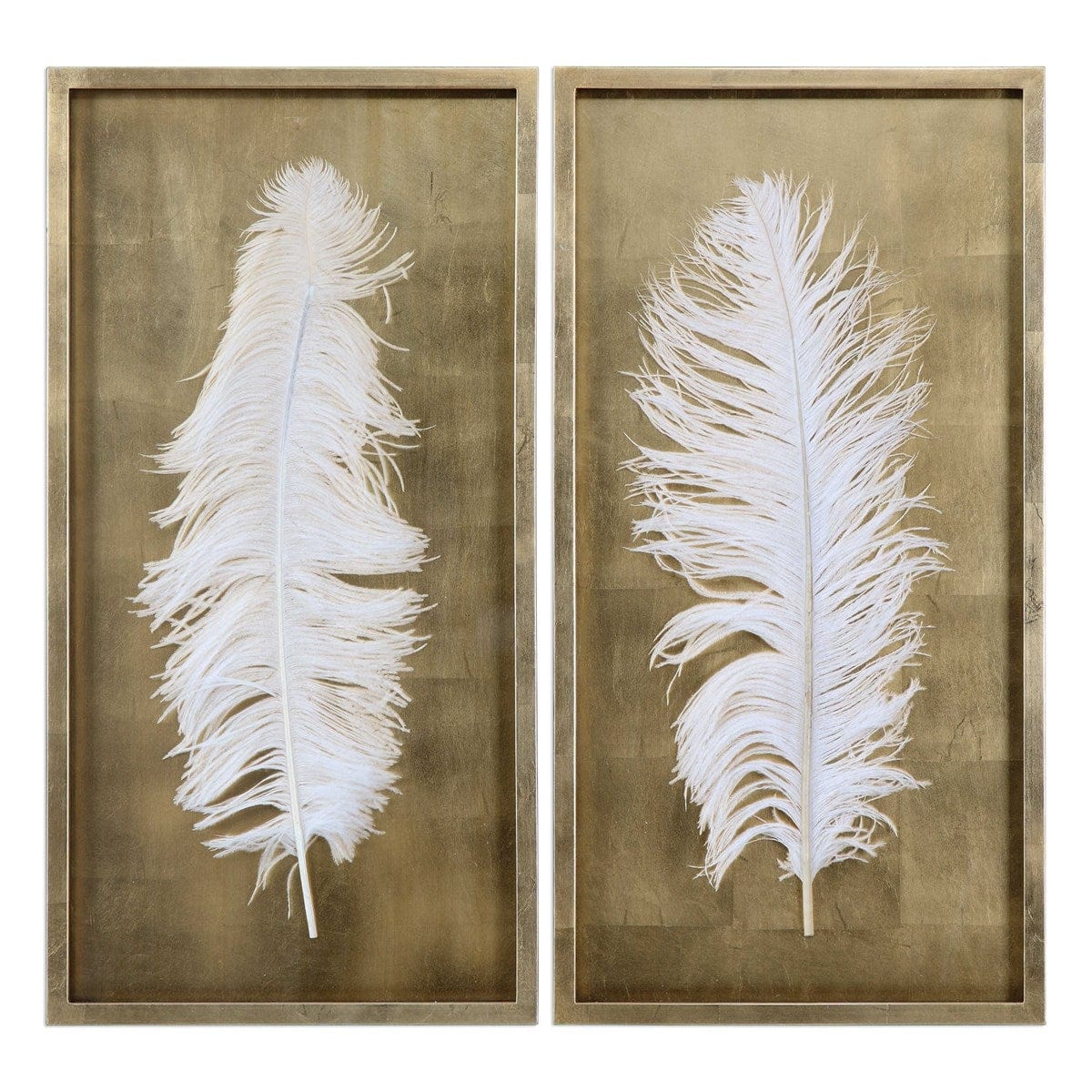 White Feathers Shadow Boxes, S/2 - Uttermost - Shadow Boxes by Modest Hut