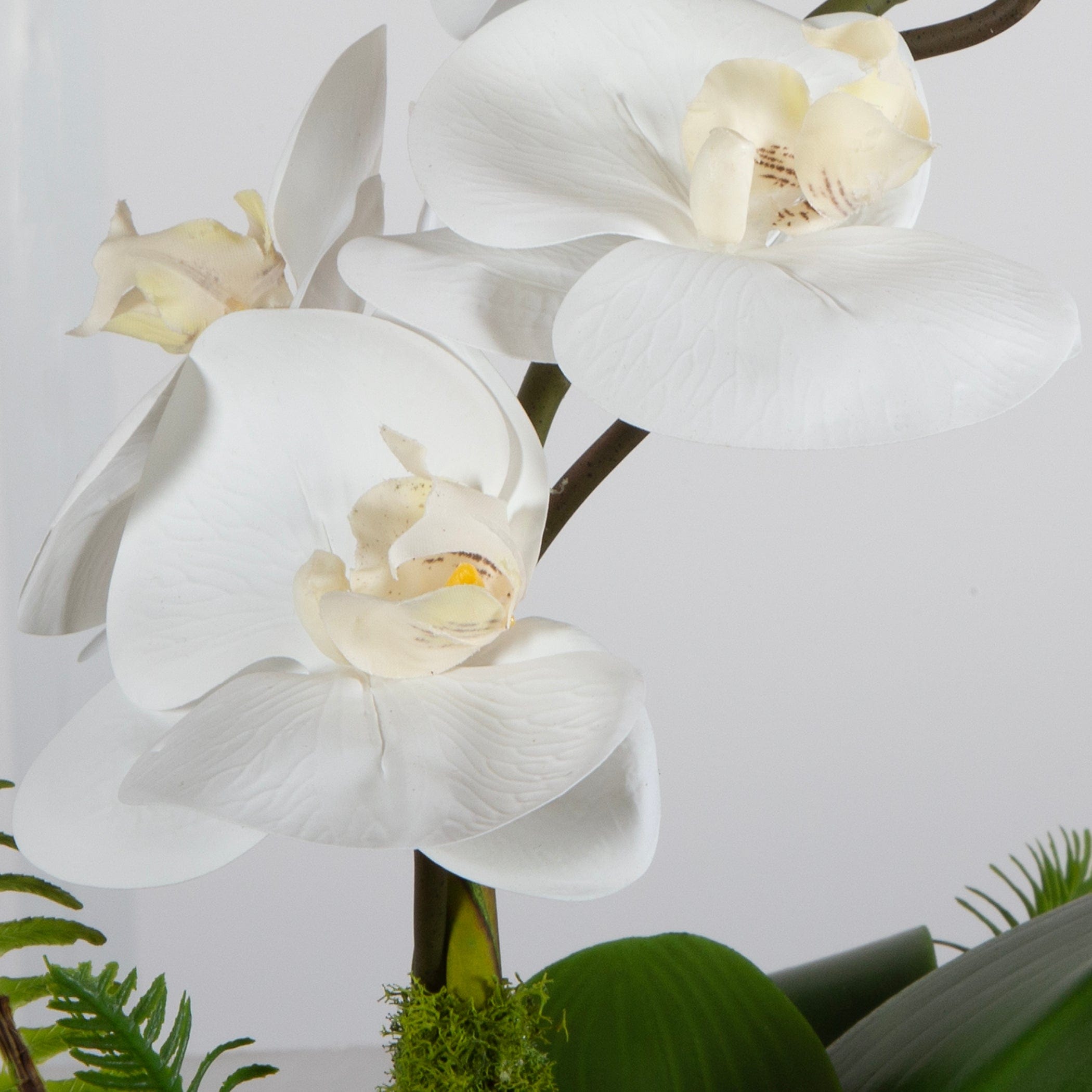 Transcend Orchid Centerpiece Uttermost