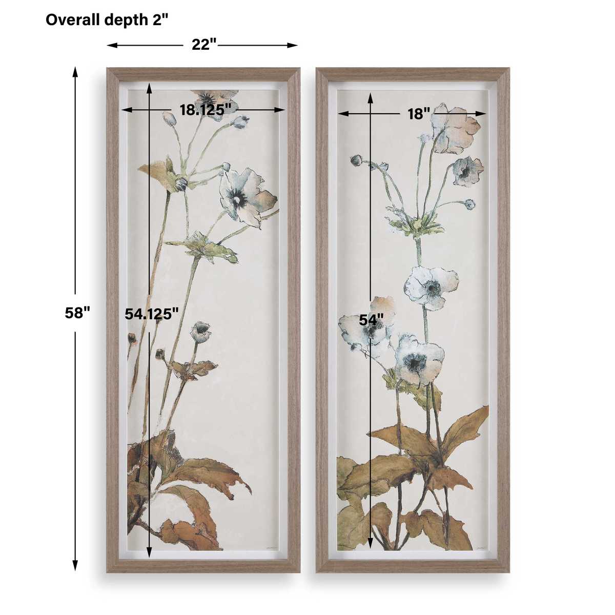 Dimension guide for the Garden Study Blue Floral Framed Prints S/2 framed print