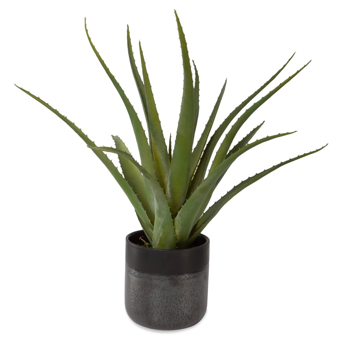 Tucson Aloe Planter - Uttermost - by Modest Hut