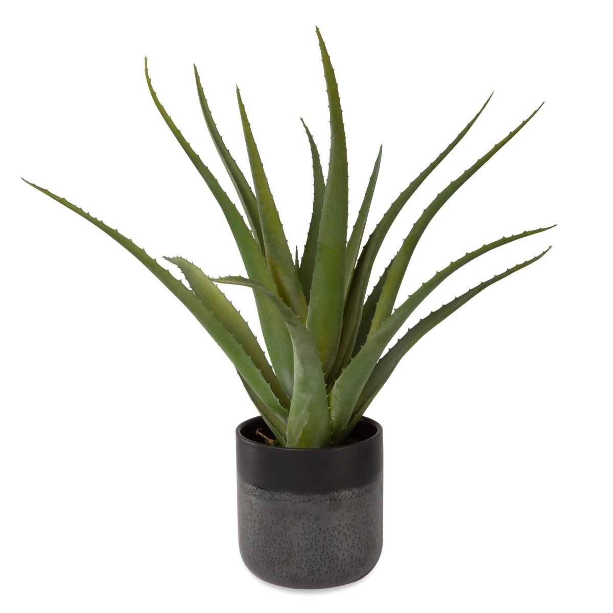 Tucson Aloe Planter - Uttermost - by Modest Hut