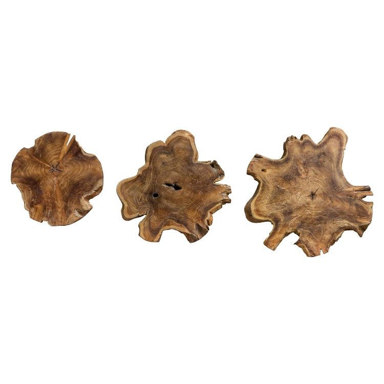 Kalane Wood Wall Decor, (S/3) - Uttermost - Wood Wall Decor by Modest Hut