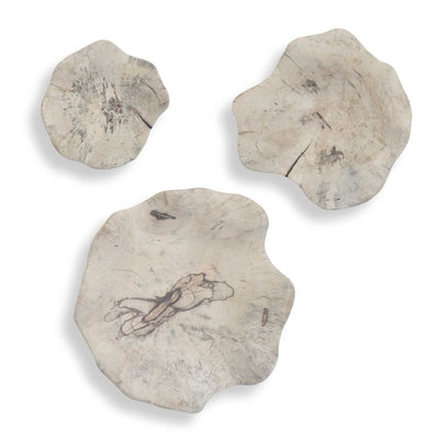 Teo Bleached Wood Wall Decor Set/3 - Wall Decor