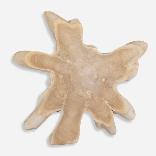 Terrains Natural Wood Wall Decor - Uttermost - Wood Wall Decor by Modest Hut