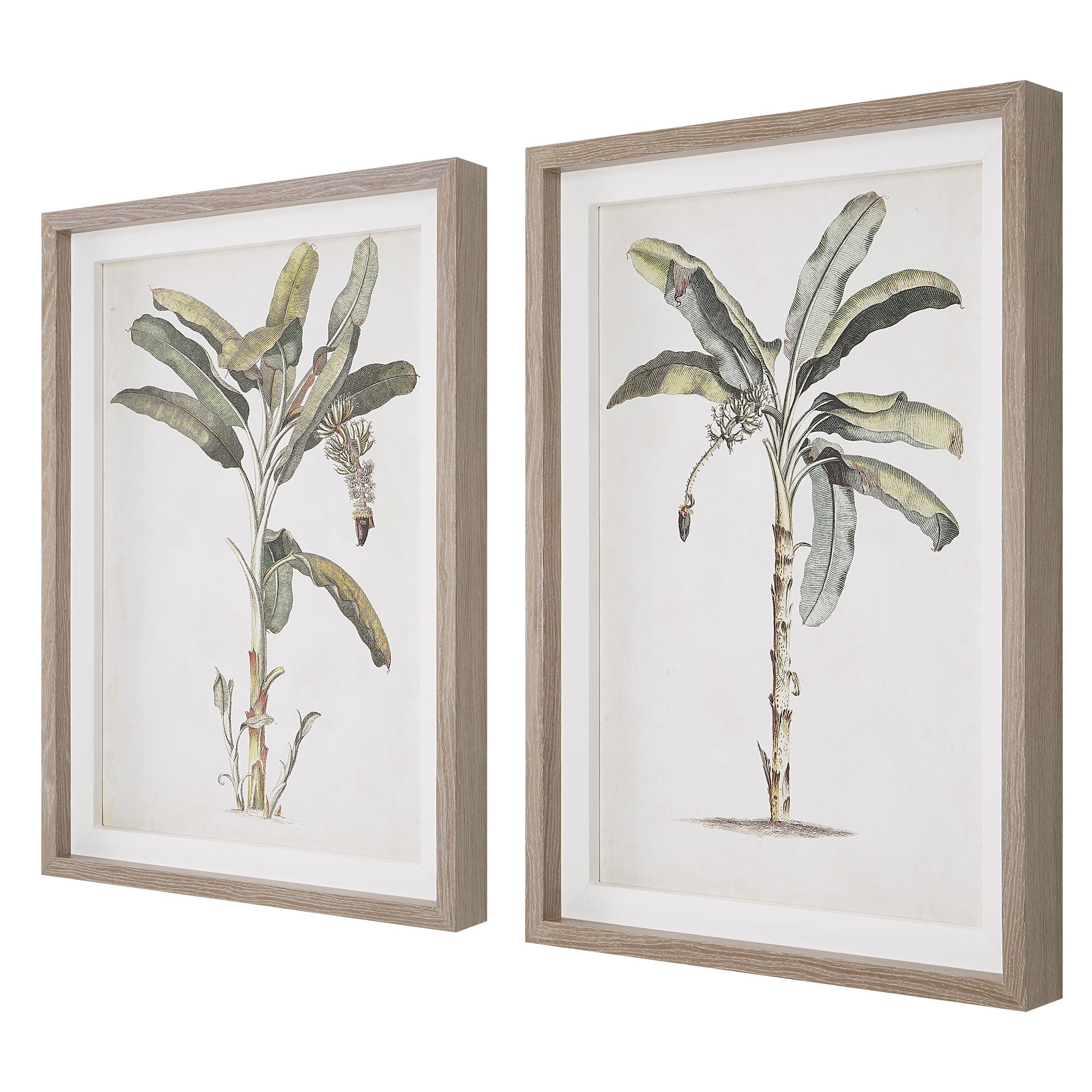 Banana Palm Framed Prints, Set/2 Uttermost