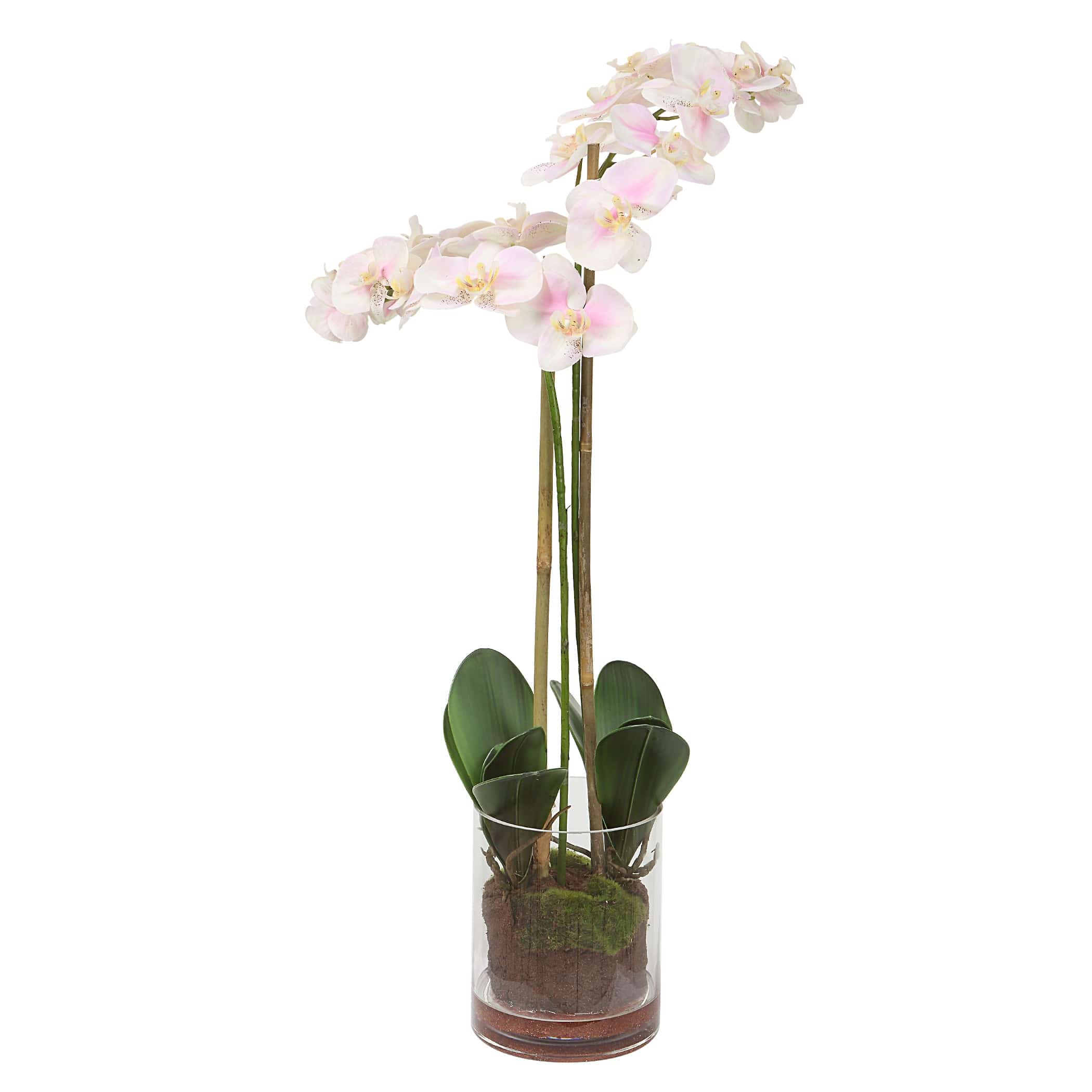 Blush Pink And White Orchid Uttermost