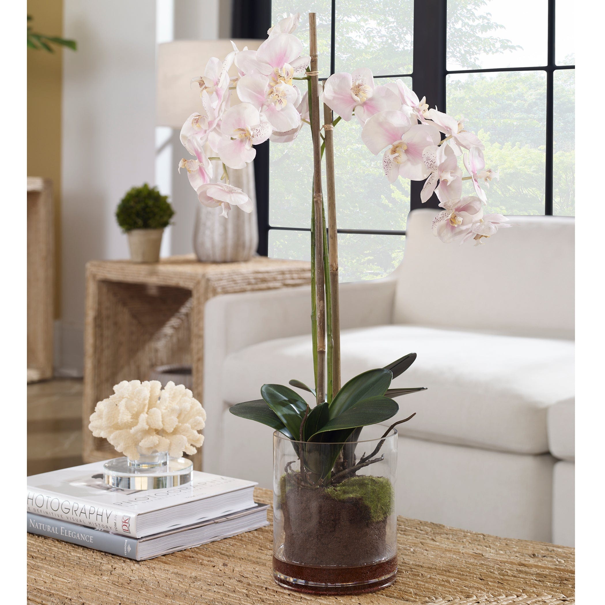 Blush Pink And White Orchid Uttermost