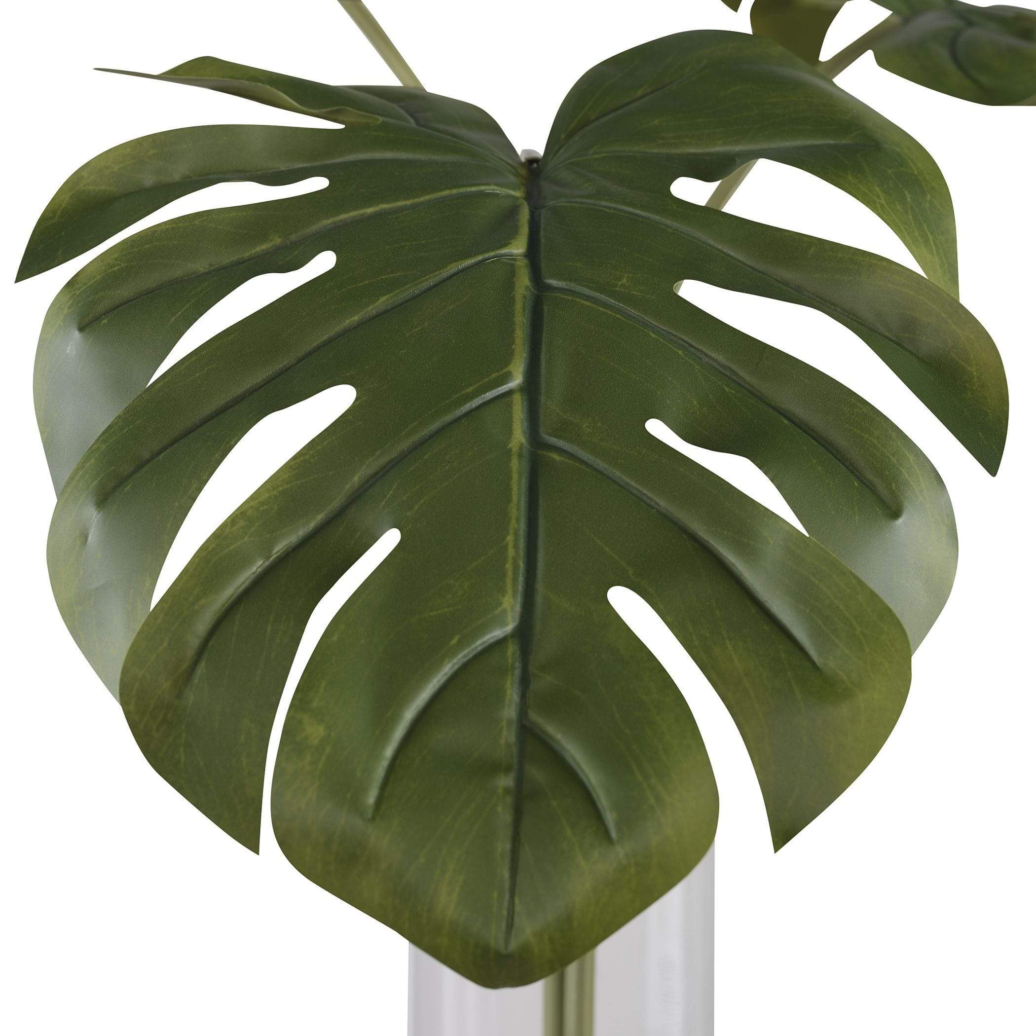 Bero Split Leaf Palm Uttermost