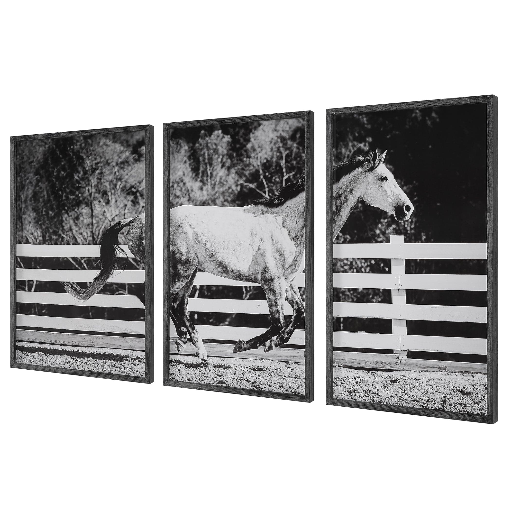 Galloping Forward Equine Prints, Set/3 Uttermost