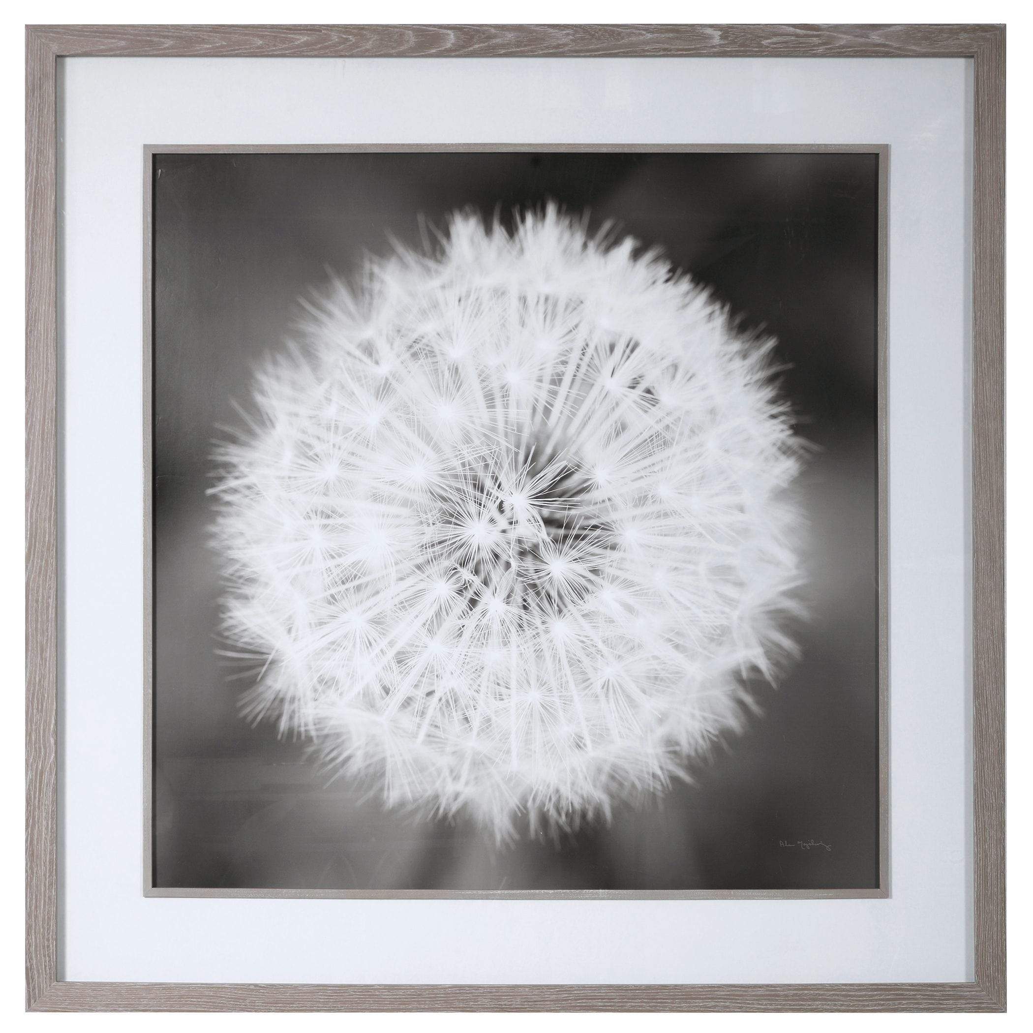 Black & White Dandelion Print Uttermost