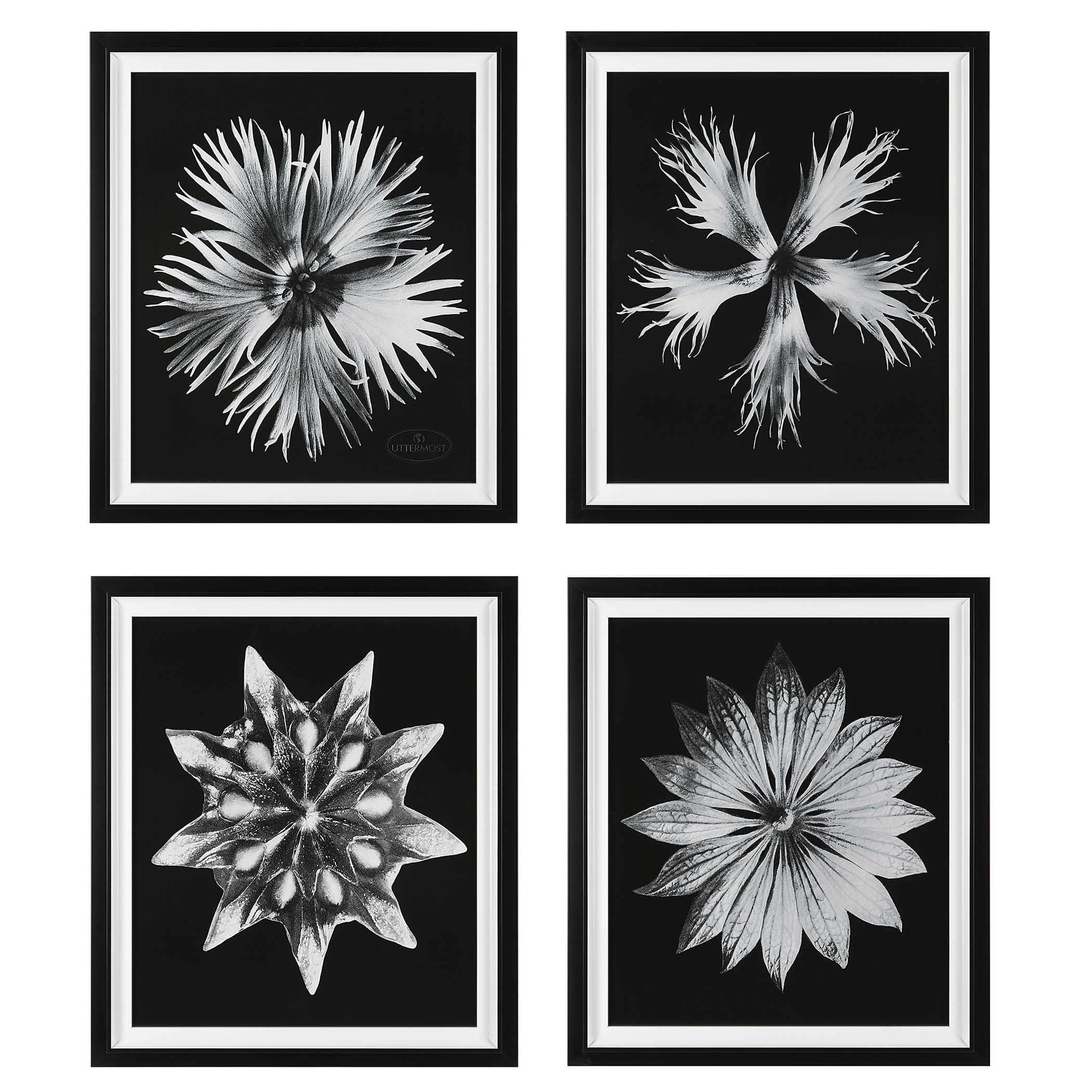 Contemporary Flower Prints (S/4) Uttermost